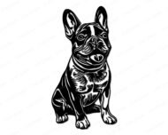 Black image of a silhouette of a adorable french bulldog (frenchie). Small, muscular dog with a wrinkled face, bat-like ears, short snout, and a smooth coat.