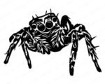 Silhouette of a jumping spider. The spider is shown with large, round eyes at the front of its head, giving it a striking and expressive look. Its body is covered in intricate fur-like textures and patterns, highlighted with sharp contrast in a vector-style design. The spider’s eight legs are bent and segmented, with jagged markings that emphasize movement and detail. The overall design is symmetrical, crisp, and highly detailed, capturing the unique features of a jumping spider in a dramatic silhouette style.