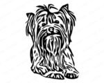 Silhouette of a yorkshire terrier with a small and slightly rounded head, a short muzzle, dark sparkling eyes, a button nose, and V-shaped slightly tipped ears.