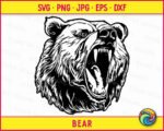 Growling Bear - Image 6