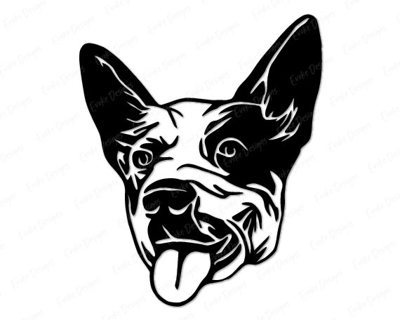 Black silhouette image of an Australian cattle dog (blue heeler) with a strong, broad head with alert, pointed ears, intelligent eyes, and a short muzzle.