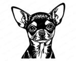 Silhouette image of a adorable chihuahua dog, featuring large upright ears, wide expressive eyes, a short muzzle, and a small compact body. Clean bold outlines capture the chihuahua’s distinctive alert stance and fine facial details.