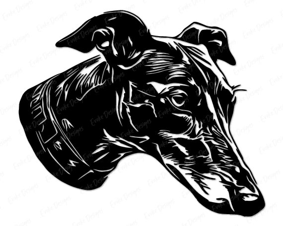 Silhouette image of a greyhound with a long and narrow head, with a slender muzzle, slightly arched skull, small folded ears, dark oval eyes, and a black nose.