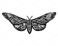 Black silhouette image of a moth with wings fully spread. The moth has a stout body, curved antennae, and broad wings featuring smooth, symmetrical edges with fine detailing that shows subtle texture. The realistic moth design is balanced and symmetrical, capturing the moth's natural shape and wing pattern.