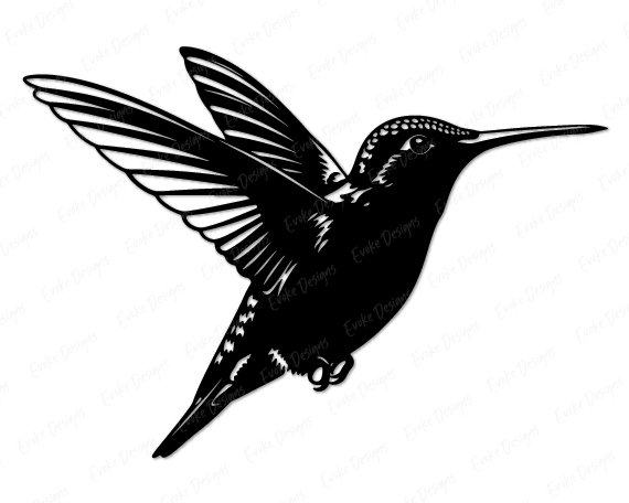 Black image of a silhouette of a hummingbird design featuring a long slender beak, rounded head, bright eye, and clean feather markings across the wings, tail, and body. The wings are shown fully extended, capturing the sharp lines and layered structure of each feather.