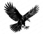 Black silhouette image of a silhouette of a raven in mid-flight. The bird is shown with wings fully spread, feathers fanned out dramatically, and claws extended as if preparing to land. The sharp beak, layered wing feathers, and flowing tail create a striking, gothic, and powerful design.