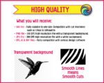 Black image of a silhouette of a hummingbird design featuring a long slender beak, rounded head, bright eye, and clean feather markings across the wings, tail, and body. The wings are shown fully extended, capturing the sharp lines and layered structure of each feather.