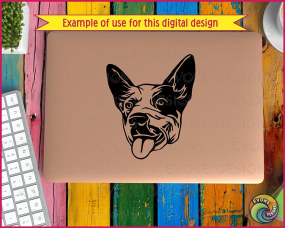 Black silhouette image of an Australian cattle dog (blue heeler) with a strong, broad head with alert, pointed ears, intelligent eyes, and a short muzzle.