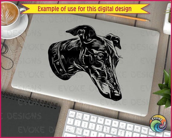 Silhouette image of a greyhound with a long and narrow head, with a slender muzzle, slightly arched skull, small folded ears, dark oval eyes, and a black nose.