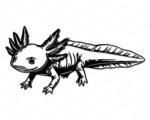 Black silhouette image of a axolotl salamander featuring a rounded head, wide smiling mouth, and large expressive eyes. Distinctive feathery gill stalks fan out from both sides of the head, with a smooth elongated body, small limbs, and a long tail captured in clean flowing lines.
