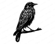 Black silhouette image of a raven perched on a bare branch. The crow’s sharp beak, sleek body, detailed feathered wings and watchful posture create a mysterious, moody feel.