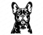 Black silhouette image of a adorable french bulldog (frenchie). Small, muscular dog with a wrinkled face, bat-like ears, short snout, and a smooth coat.