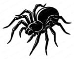 Black silhouette image of a spider with a realistic, striking design. The spider’s body is rounded with a prominent abdomen and a slightly smaller cephalothorax, connected seamlessly. Its eight legs are long, jointed, and angled outward, giving it a lifelike crawling stance. The legs are thick near the body and taper into fine, pointed ends, with carefully defined segments that add depth and texture. The spider’s head is accented with small details suggesting eyes and fangs, enhancing its naturalistic appearance. High-contrast black fills and sharp white highlights emphasize the spider’s shape, contours, and dimensional form, creating a strong, dramatic look.