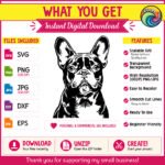 Black silhouette image of a adorable french bulldog (frenchie). Small, muscular dog with a wrinkled face, bat-like ears, short snout, and a smooth coat.