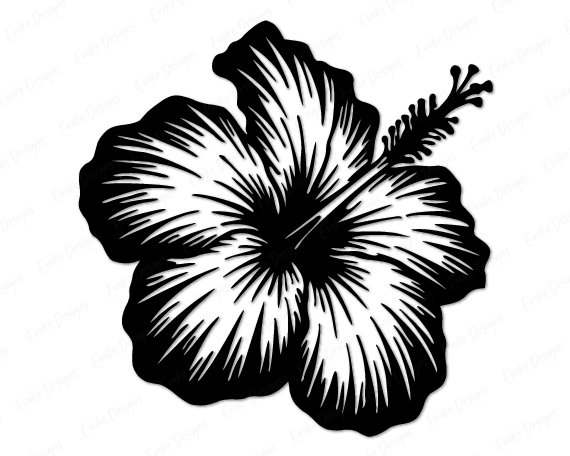 Black silhouette image of a hibiscus flower with wide open curved petals and a long curling stamen extending from the center. This tropical flower svg design has smooth clean edges in a minimalist outline style, shaped like a Hawaiian beach floral bloom. The vector cut file shows one flower on a transparent background, ideal as digital clipart for printing or cutting projects.