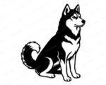 Black silhouette image of a Siberian husky sitting proud and alert, showing off his gorgeous fluffy tail curling over his back! This bold husky silhouette features those classic pointed ears, intelligent almond-shaped eyes, and that friendly husky smile we all love. The detailed fur texture captures this beautiful dog's thick double coat perfectly, from his fluffy chest ruff to his plumy tail. This husky vector design shows the confident stance these amazing sled dogs are famous for!