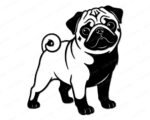 Black silhouette image of a pug dog design with its stout little body, chunky legs, and that classic curly pug tail looping proudly over its back. Big round eyes shine with playful mischief, while the wrinkly forehead, short snout, and floppy ears give this pug a sweet, lovable look. The bold silhouette style uses clean lines and high contrast, making the pug shape strong, cute, and instantly recognizable as a happy pug puppy.