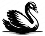 Black silhouette image of a elegant black swan SVG featuring beautiful flowing feathers, a graceful curved neck, and a lovely long beak. The majestic swan design shows detailed wing feathers fanned out beautifully, with rippling water beneath this stunning water bird. This beautiful swan clipart has clean lines and bold contrast, making it a fantastic swan design for any project. The sophisticated swan shape captures nature's grace in one striking image.