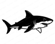 Black silhouette image of a fierce shark with sharp triangular teeth grinning wide, powerful tail fin swooshing behind this ocean predator! This bold shark vector design shows sleek body, pointed dorsal fin, curved pectoral fins, and dramatic gill slits. This toothy great white style shark has that classic sea creature smile that makes him look ready to swim right off your project!