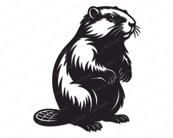 Black silhouette image of a plump, fluffy, wide-bodied beaver standing upright on his chunky little paws, showing off his magnificent scaly paddle tail, twitchy whiskers, and glossy dark fur with dreamy chest fluffiness. This charming woodland creature, dam-builder, nature lover, and pond-dwelling rodent mascot is drawn in a stunning silhouette-style illustration.