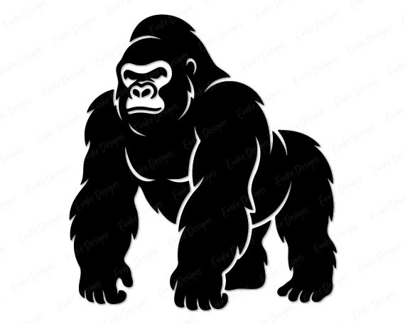 Gorilla Black silhouette image of a gorilla standing strong and steady, a mighty jungle king in clean silhouette, with broad shoulders, powerful arms, and a proud chest that shows off his wild strength. This gorilla clipart features thick fur edges, heavy knuckles, and a focused face full of quiet power, giving classic silverback gorilla energy in a crisp, high contrast style.