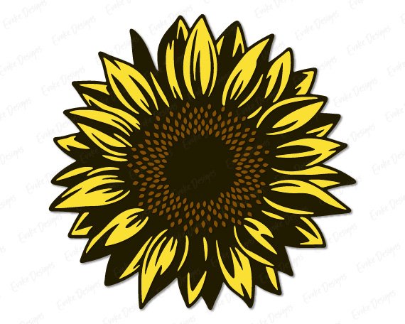Image of a golden yellow sunflower SVG shining bright with buttery lemon petals, rich chocolate-brown seed details, and a deep dark centre bursting with warmth and sunshine! This vibrant sunflower clipart features gorgeous overlapping petals with beautiful golden linework throughout. A happy sunflower image full of sunshine and charm.