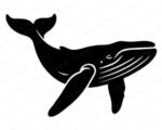 Silhouette image of a blue whale gliding like a gentle ocean giant, with a long sleek body, small curved fin, and wide tail flowing through calm sea waves. Fine line details trace the throat pleats, eye, and mouth, giving this marine mammal a peaceful, wise look.