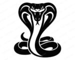 Cobra SVG cut file featuring a striking king cobra silhouette. This digital image displays an aggressive cobra clipart graphic with an expanded hood, bared fangs, and a coiled body. A detailed snake vector and transparent PNG design highlighting a fierce cobra snake with a bifurcated tongue.