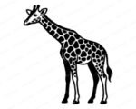 Image of a graceful long-neck giraffe with bold spots, elegant legs, curved horns, alert ears, and a sweet cartoon-style face.