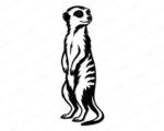 Clear meerkat clipart showing a full body meerkat silhouette. This meerkat vector cut file features the desert animal standing upright on its hind legs on a transparent background. A detailed digital image and png graphic of an alert meerkat looking over its shoulder with distinctive eye patches.