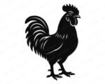 Silhouette image of a rooster strutting his stuff with serious cockerel swagger. This proud standing rooster side profile features a plump chicken body, spiky serrated comb, flowing curved tail feathers, fluffy layered wing feathers, dangling wattle, sharp rooster beak, and scaly chicken feet with clawed toes.