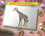 Image of a graceful long-neck giraffe with bold spots, elegant legs, curved horns, alert ears, and a sweet cartoon-style face.