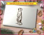Clear meerkat clipart showing a full body meerkat silhouette. This meerkat vector cut file features the desert animal standing upright on its hind legs on a transparent background. A detailed digital image and png graphic of an alert meerkat looking over its shoulder with distinctive eye patches.