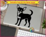 Chihuahua dog SVG PNG clipart on transparent background. Black silhouette of a smiling Chihuahua standing in profile, featuring large pointed ears, wide expressive eyes, fluffy chest, slender legs and a curved upright tail. Miniature Chihuahua vector illustration with minimalist outline detail.