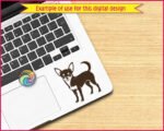 Chihuahua dog SVG PNG clipart on transparent background. Black silhouette of a smiling Chihuahua standing in profile, featuring large pointed ears, wide expressive eyes, fluffy chest, slender legs and a curved upright tail. Miniature Chihuahua vector illustration with minimalist outline detail.