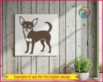 Chihuahua dog SVG PNG clipart on transparent background. Black silhouette of a smiling Chihuahua standing in profile, featuring large pointed ears, wide expressive eyes, fluffy chest, slender legs and a curved upright tail. Miniature Chihuahua vector illustration with minimalist outline detail.