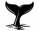 Whale tail svg and transparent png featuring a bold black whale tail rising from calm ocean water, captured in a clean silhouette style with graceful curved flukes and gentle water ripples below. This whale tail clipart shows the iconic shape of a diving whale, with smooth flowing lines and a minimalist vector style. Detailed yet simple whale tail image with a transparent background.