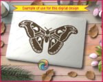 Atlas Moth - Image 2
