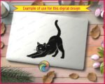 Black silhouette image of a stretching cat in a deep forward bow pose, with both front legs extended forward along the ground and the tail raised in a tall elegant curl. The stretching cat silhouette shows fine fur texture detail around the edges, pointed ears, and a focused feline expression. This stretching cat clipart is a minimalist black vector svg and png with a transparent background, capturing the full body of the cat in profile from the side.