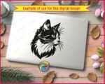 Black silhouette image of a long-haired cat face in detailed vector style. The cat svg shows thick layered fur around the neck and chest, pointed ear tufts, and long fine whiskers extending outward. The cat has a sharp, realistic eye and a slightly turned three-quarter pose. This clipart png is a clean black silhouette of a fluffy cat on a transparent background, making it a versatile digital cut file.