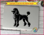 A detailed black poodle clipart showing a full body side view of a standard poodle in a classic show continental haircut. The poodle stands proud and alert, facing left, with a fluffy rounded top knot, curly chest fur, pom pom anklets on all four legs and a curved tail with a pom at the tip. Detailed poodle silhouette png and svg vector on a transparent background.