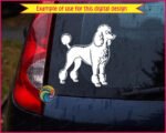 A detailed black poodle clipart showing a full body side view of a standard poodle in a classic show continental haircut. The poodle stands proud and alert, facing left, with a fluffy rounded top knot, curly chest fur, pom pom anklets on all four legs and a curved tail with a pom at the tip. Detailed poodle silhouette png and svg vector on a transparent background.
