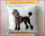 A detailed black poodle clipart showing a full body side view of a standard poodle in a classic show continental haircut. The poodle stands proud and alert, facing left, with a fluffy rounded top knot, curly chest fur, pom pom anklets on all four legs and a curved tail with a pom at the tip. Detailed poodle silhouette png and svg vector on a transparent background.