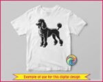 A detailed black poodle clipart showing a full body side view of a standard poodle in a classic show continental haircut. The poodle stands proud and alert, facing left, with a fluffy rounded top knot, curly chest fur, pom pom anklets on all four legs and a curved tail with a pom at the tip. Detailed poodle silhouette png and svg vector on a transparent background.