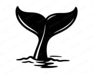 Whale tail svg and transparent png featuring a bold black whale tail rising from calm ocean water, captured in a clean silhouette style with graceful curved flukes and gentle water ripples below. This whale tail clipart shows the iconic shape of a diving whale, with smooth flowing lines and a minimalist vector style. Detailed yet simple whale tail image with a transparent background.