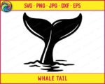 Whale tail svg and transparent png featuring a bold black whale tail rising from calm ocean water, captured in a clean silhouette style with graceful curved flukes and gentle water ripples below. This whale tail clipart shows the iconic shape of a diving whale, with smooth flowing lines and a minimalist vector style. Detailed yet simple whale tail image with a transparent background.
