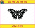 Black silhouette image of a large atlas moth with both wings fully spread in a symmetrical pose. The atlas moth has wide upper and lower wings filled with detailed oval markings, curved edges, and fine inner line details typical of an atlas moth. The body is thick and segmented with small antennae at the top. This atlas moth svg clipart is a clean black vector image on a transparent background with no fill colors.