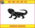 Black silhouette image of a bearded dragon shown from the side in a natural walking pose. The bearded dragon has detailed scale markings across the body, a wide flat head with a visible beard area, and a long tapering tail curving upward at the tip. The clawed feet are spread wide and the spiny ridge along the back adds texture and depth. This bearded dragon clipart is a clean vector silhouette on a transparent background.