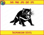 Black silhouette image of a snarling tasmanian devil crouched low with its body angled forward in an aggressive stance. The tasmanian devil has its mouth wide open showing large sharp teeth and a visible tongue, with long detailed whiskers fanning out from its face. The fur is rendered with heavy layered texture across the body, and the thick clawed paws are spread on the ground. This tasmanian devil clipart is a bold black vector on a transparent background, detailed and clean.