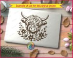 Baby Highland Cow - Image 2
